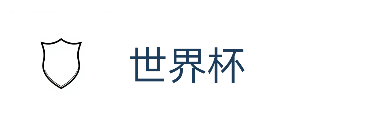 世界杯